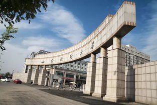 山西财经大学中德学院2019年招生简章